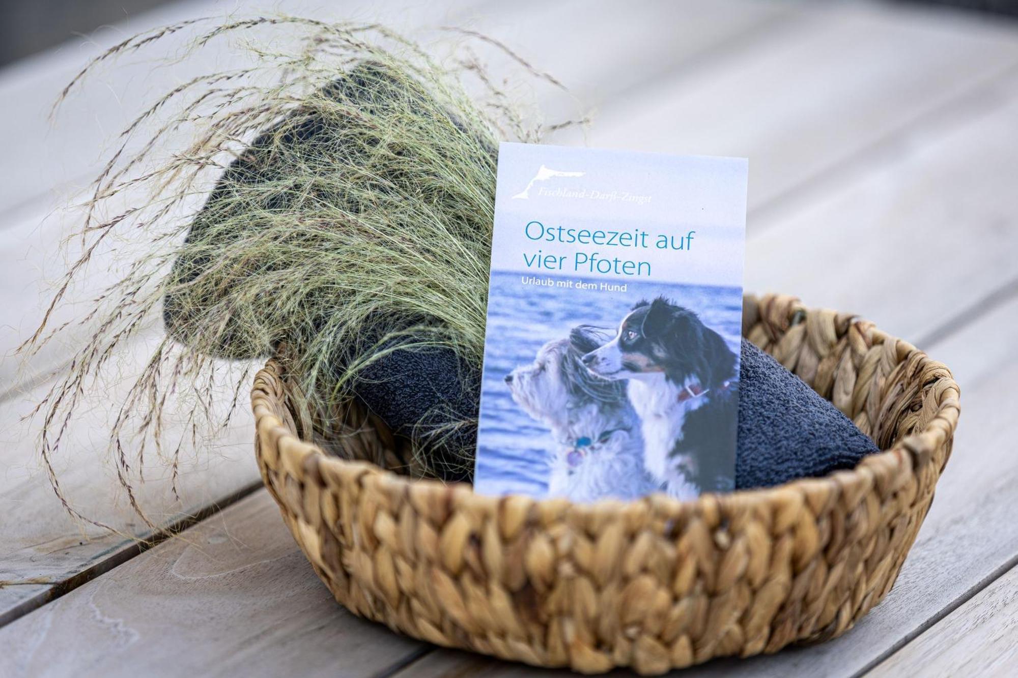 Willa Solvis Zingst Zewnętrze zdjęcie